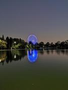 Pasa una noche en el Bosque de Chapultepec