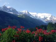 Top Chamonix-Mont-Blanc