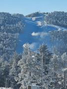 Apartmani kod Pančevca