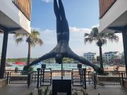 The Blyde Riverwalk Estate