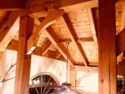 Top Shimoda Top Shimoda