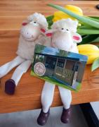 Top Rożnowo Top Rożnowo