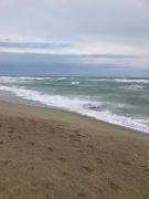 Bord de Mer Appartement face à la mer, lumineux, Grande terrasse, parking privé, climatisé