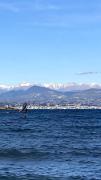 Top Antibes