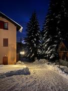 Top Kopaonik