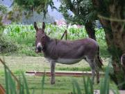Top Sainte-Marguerite-sur-Duclair