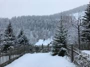 Les Marmottes : Jardin, proche centre, cheminée !