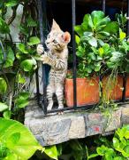 Top Puerto Triunfo Top Puerto Triunfo