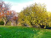 Top Vimignano