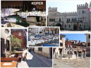 Top Koper