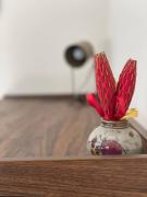 Top Saint-André-de-Sangonis