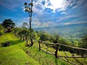 Rustic Cabin in Salento