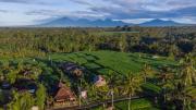 Top Ubud