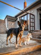 Top Somlóvásárhely