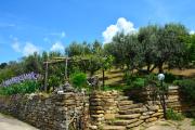 Top Castellabate