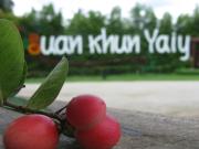 Top Ban Wang Takhrai Top Ban Wang Takhrai