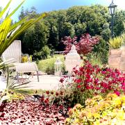 Top Suberg Top Suberg