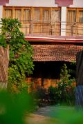 The Flying Squirrel Bandhavgarh