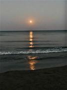 Top Larnaka