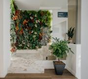 Top Neapol Top Neapol