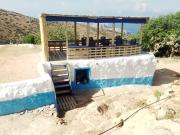 Top Al-Husajma