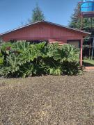 Spa el mirador Cabaña y Centro de Eventos