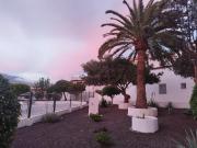 Top Arona