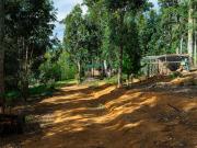 Top Hogsback Top Hogsback