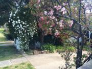 103AMitrePlantationHouseBathurst