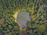 Top Yercaud