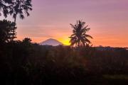 Dukuh Ubud Villa #1 Ricefield View