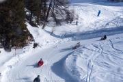 Top Mâcot La Plagne