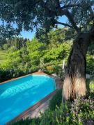 Top Campiglia Marittima