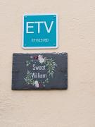 Sweet William Sweet William