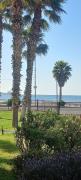 Palmar vista al mar