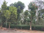 Top Virajpet