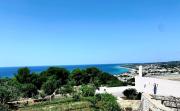 Top Torre Vado