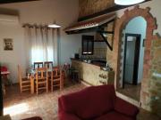 La sombra del lagarto