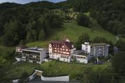 Top Walchwil