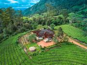 Top Munnar