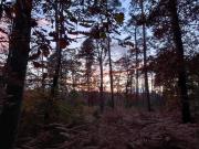 Top Veneux-les-Sablons