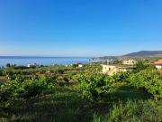 Top Koroni