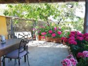 Top Pigna