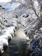 Top Porumbacu de Sus