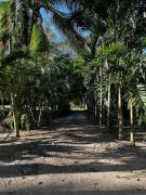 Casa finca Santiago Tolú