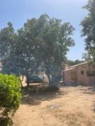 Mini villa Porto, Santa Giulia