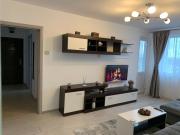 Victoriei Boulevard Private Apartment