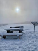 Top Ingelheim am Rhein