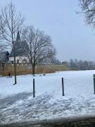 Top Ingelheim am Rhein