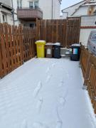 Top Ingelheim am Rhein